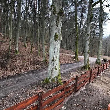 Prázdninový dům Mazur W Wierzbie