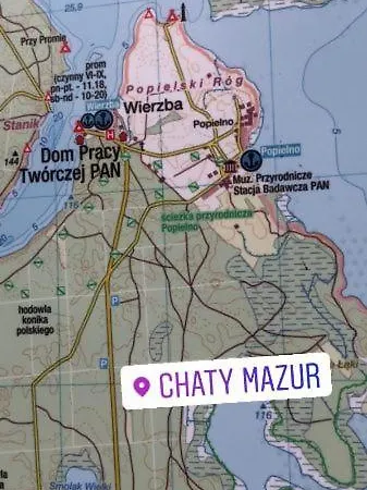 Mazur W Wierzbie